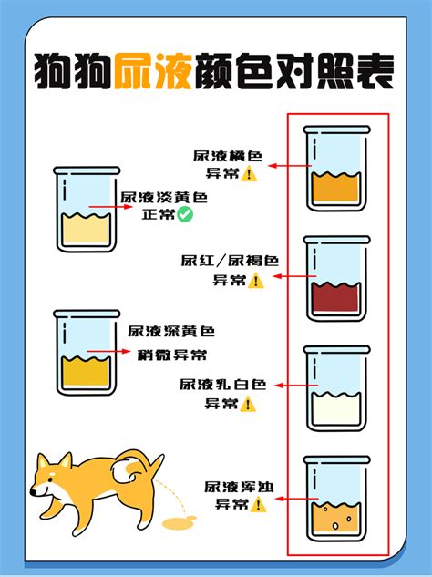 狗 尿 顏色|犬尿顏色圖表：獸醫批准的常規或可疑症狀指南 